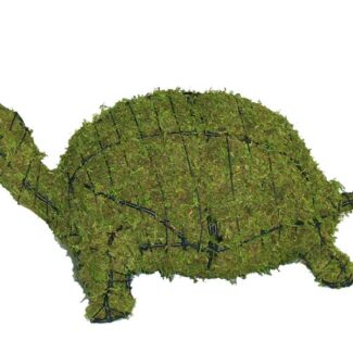 Turtle, 8 inch (Mossed) 8 inch x 19 inch x 12 inch | TOPIARYTREE.NET