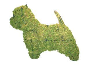 Animal Topiary - Mossed