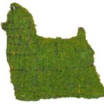Moss-covered Yorkie topiary in flat profile silhouette, pointed ears and topknot