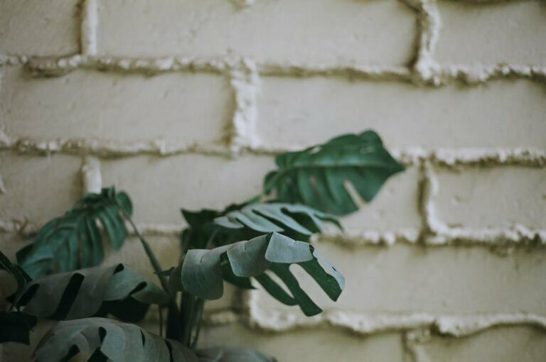These Aren’t Your Grandma’s Fake Plants!