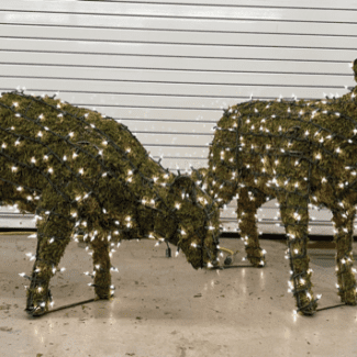 Topiary Sheep's | TOPIARYTREE.NET