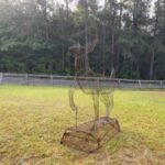 Bare wire-frame deer sculpture standing in grass in front of a wooden fence and tree line