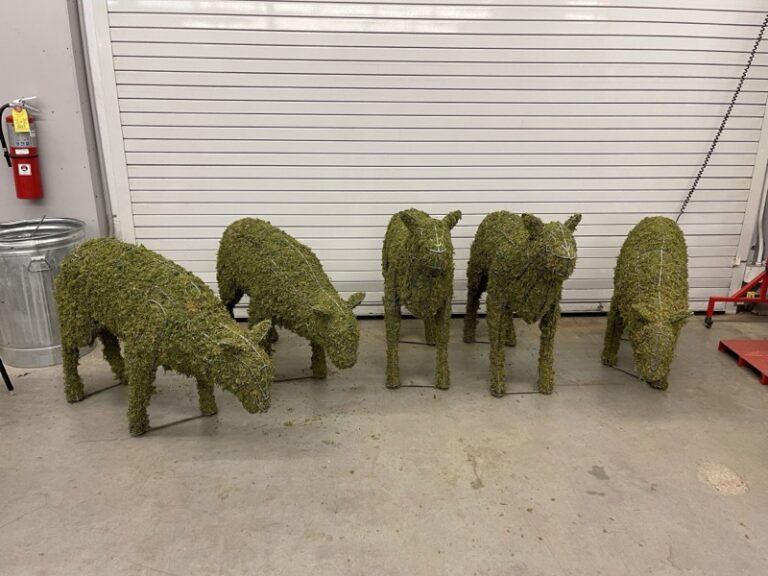 Sheep Family Grazing, Sleeping & Standing Topiary, photo 16 of 26