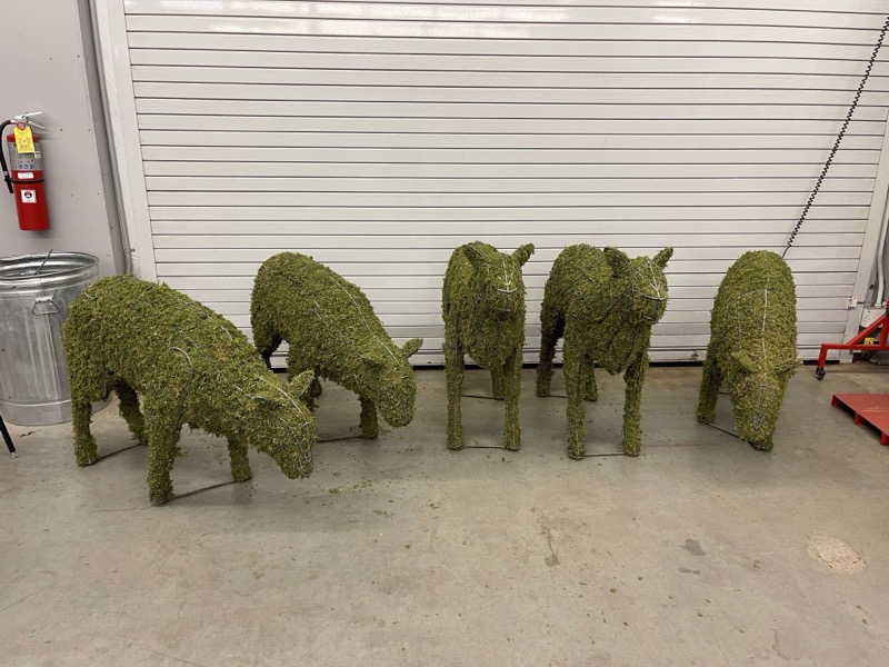 Sheep Family Grazing, Sleeping & Standing Topiary