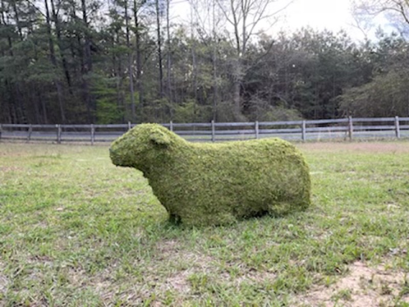 Sheep Family Grazing, Sleeping & Standing Topiary