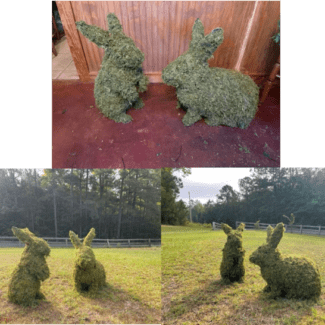 Rabbit and Bunny Mossed Topiary | TOPIARYTREE.NET