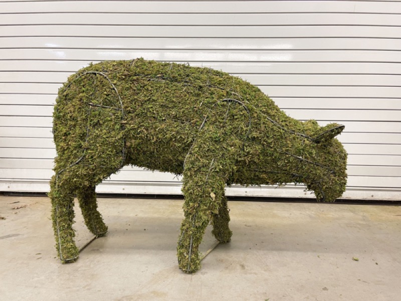Sheep Family Grazing, Sleeping & Standing Topiary