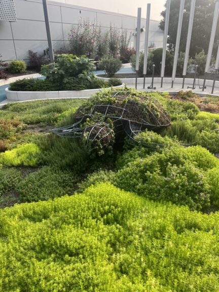 Wire-frame turtle topiary filled with moss and twigs displayed on grass