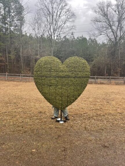 Moss-covered heart-shaped topiary on a metal stand, in a mown field with bare trees behind