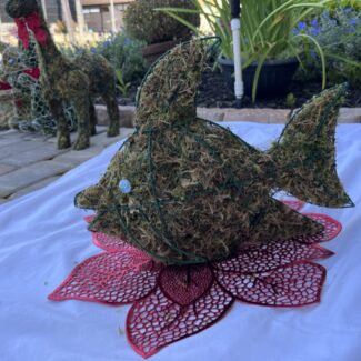 Fish Moss Topiary | TOPIARYTREE.NET