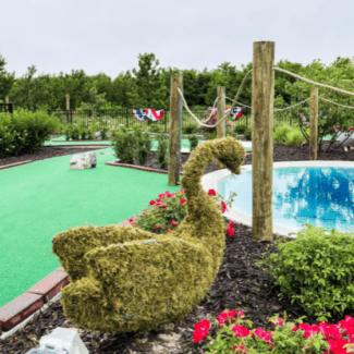 Topiary Swan - Moss Covered | TOPIARYTREE.NET