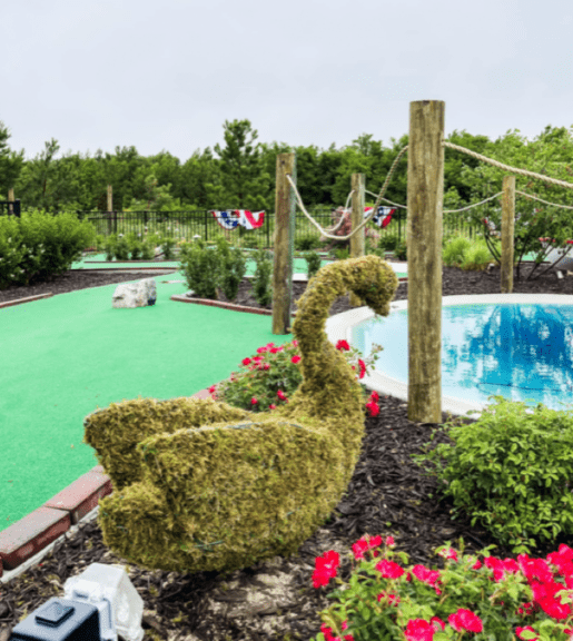 Commercial Outdoor Topiary Projects. This is what we do!