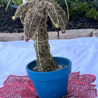 Moss Topiary Palm Tree | TOPIARYTREE.NET