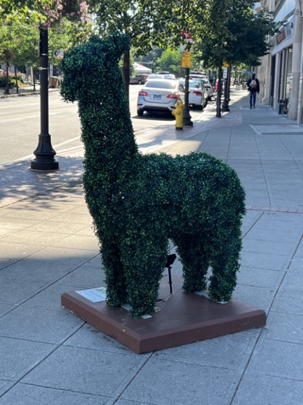 Green llama topiary on a downtown sidewalk plinth beside a street with parked cars