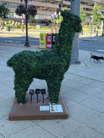 Green llama topiary on a plinth on a downtown street with hanging flower baskets