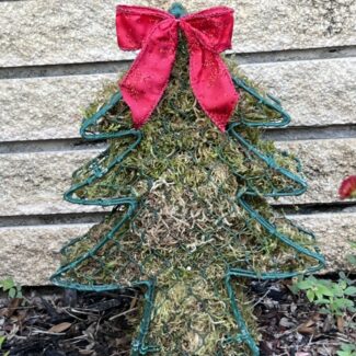 Christmas Tree Topiary | TOPIARYTREE.NET