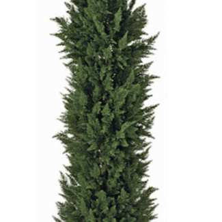 12 Foot Outdoor Polyblend Cypress Tree | TOPIARYTREE.NET