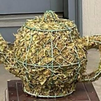 Moss Tea Pot | TOPIARYTREE.NET