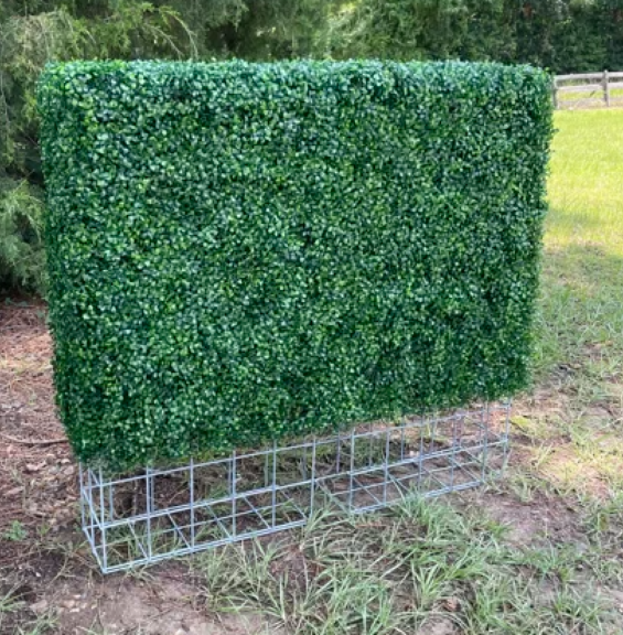 Angled view of the boxwood hedge panel showing its depth and the wire base beneath