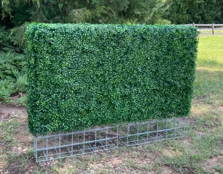 Boxwood-clad rectangular hedge panel standing on an open galvanised wire base on grass