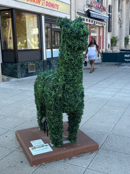Green llama topiary on a public sidewalk plinth with a HedgeFun sponsor plaque