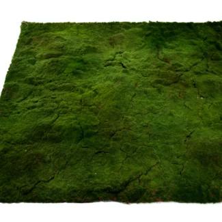 A1103 40" X 40" LUMPY MOSS MAT | TOPIARYTREE.NET
