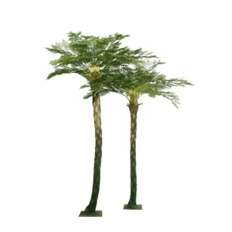 11' TROPICAL FERN TREE X18 | TOPIARYTREE.NET