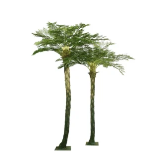 10' TROPICAL FERN TREE X12 | TOPIARYTREE.NET
