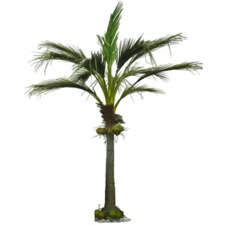 22.5' COCO PALM TREE X12, W/1148LVS, 7FRTS
