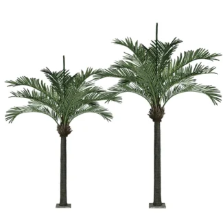 13' KING PALM  X12 W/804LVS