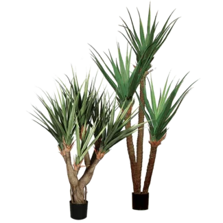 6.5' PANDANUS PLANT X6  W/107LVS | TOPIARYTREE.NET