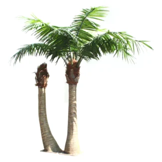 12' STRAIGHT COCO PALM X12 W/O COCONUT   (FOR OUTDOOR)