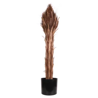 3' PTD PHOENIX PALM TRUNK | TOPIARYTREE.NET