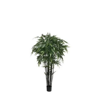 6' PTD BAMBOO TREE X12 W/1664LVS | TOPIARYTREE.NET