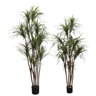 6', 7' PTD DRACAENA MARGINATA TREE X10  (ARTIFICIAL TRUNK) | TOPIARYTREE.NET
