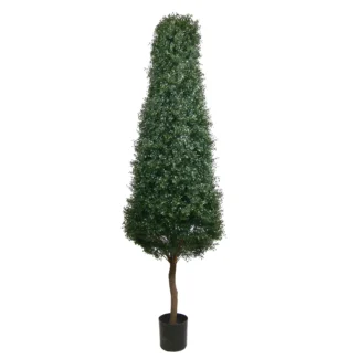 7' PTD BOXWOOD TOWER TREE W/8304LVS | TOPIARYTREE.NET