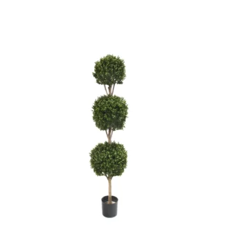 6' PTD NEW BOXWOOD TRIPLE BALL TREE W/3024LVS | TOPIARYTREE.NET