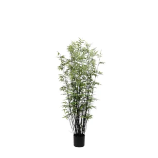 5' PTD ORIENTAL BAMBOO TREE W/2400LVS | TOPIARYTREE.NET