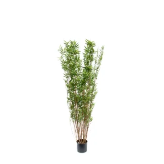 5' PTD ORIENTAL BAMBOO TREE W/2400LVS | TOPIARYTREE.NET