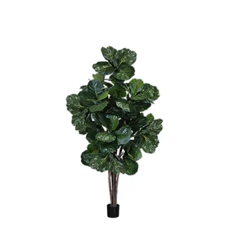 MULTI TRUNK BRAZILIAN FIDDLE LEAF TREE | TOPIARYTREE.NET