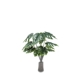 3' UNPTD SPLIT PHILO BUSH W/14LVS | TOPIARYTREE.NET