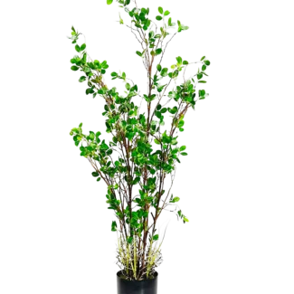 4' PTD RUBBER PLANT W/96LVS | TOPIARYTREE.NET