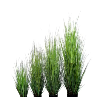 P1532 Mountain Grass | TOPIARYTREE.NET