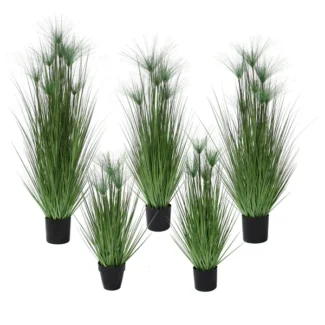 P1543 PAPYRUS GRASS