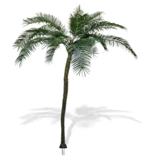 16' UNPTD PHOENIX PALM TREE  X30 FRONDS | TOPIARYTREE.NET