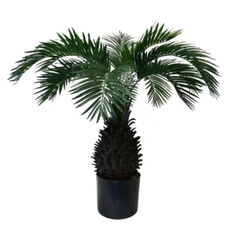 2.5' PTD PINEAPPLE PALM W/576LVS | TOPIARYTREE.NET