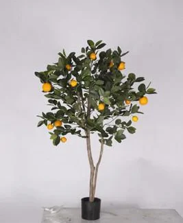 ORANGE TREE W/684LVS, 16FRTS/ 23FRTS | TOPIARYTREE.NET