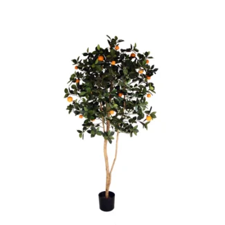 ORANGE TREE W/684LVS, 16FRTS/ 23FRTS | TOPIARYTREE.NET