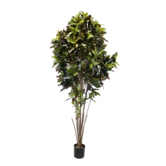 8' PTD CROTON TREE W/913LVS