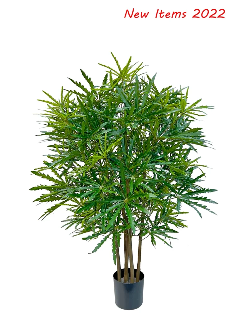 P1623-4_43fd9efe-4318-4be7-be0f-7232d68b5fbe_2000x